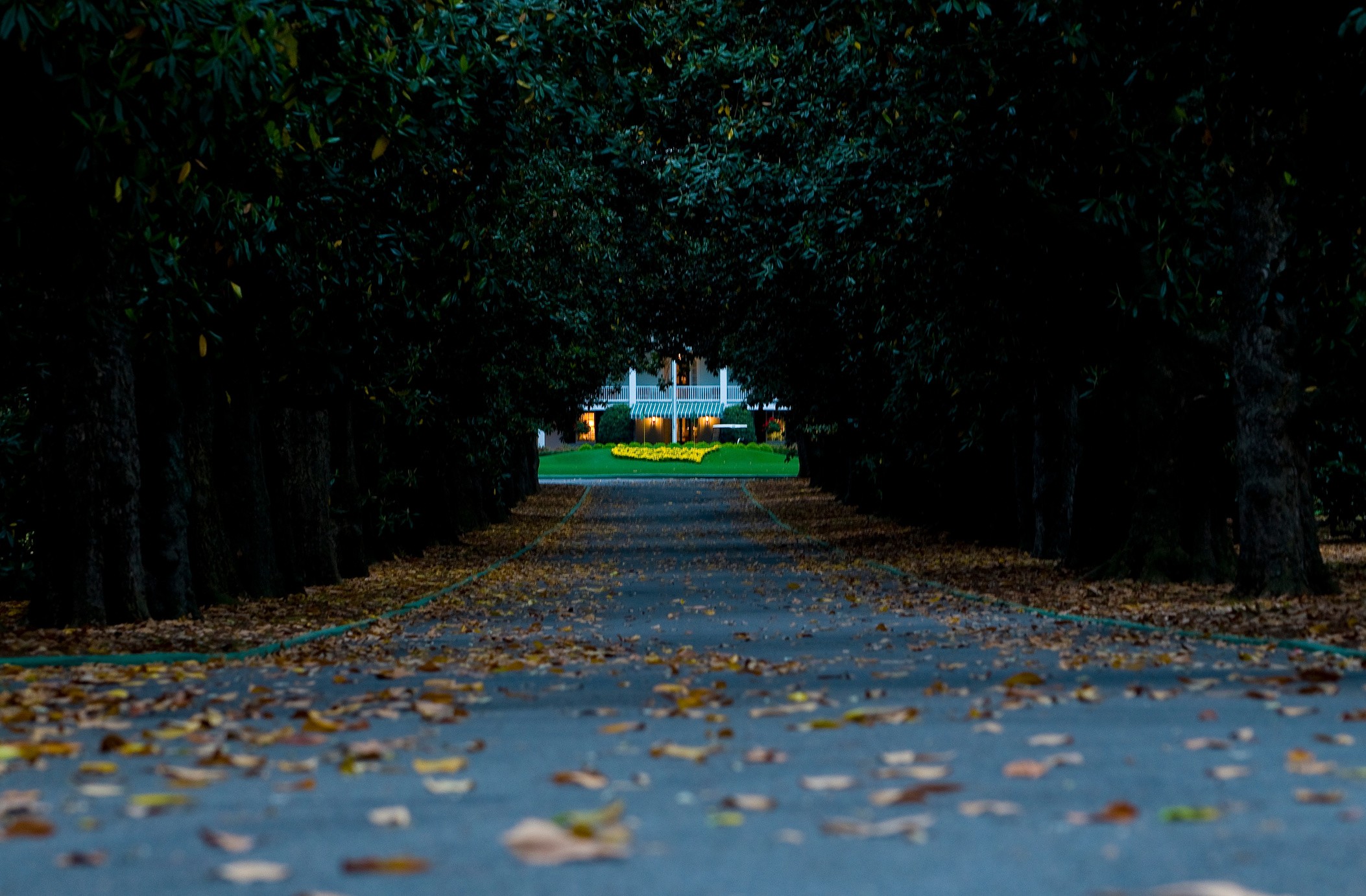 Magnolia Lane leading towards Augusta National’s clubhouse